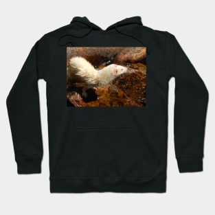 White Beard Hoodie